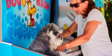 K9000 Dog Wash Systems New Zealand