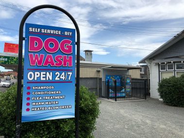K9000 Dogwash Gallery