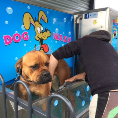 K9000 Dogwash