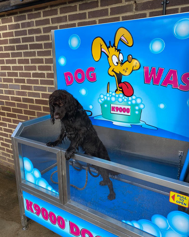 dog-wash